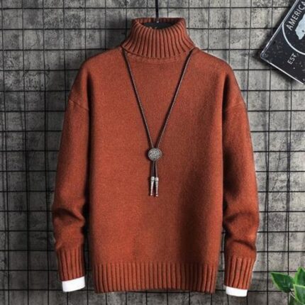 Rollkragenpullover Herren