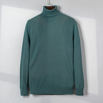Rollkragenpullover Herren