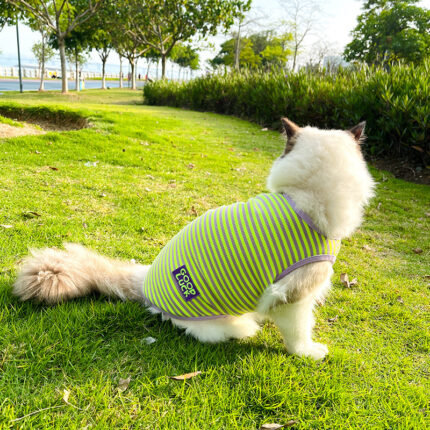 Coole atmungsaktive Streifen Weste Haustier kleidung Kleine Hunde katzen kleidung