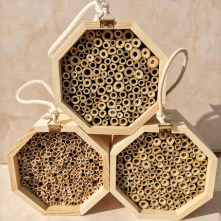 Holz Bee Zucht Box Kombination