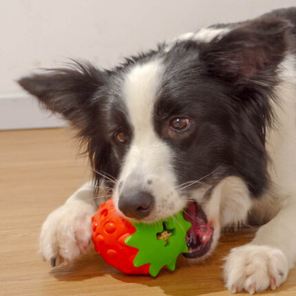 Haustier Hund Zähne Reinigung Zahn Biss Beständig Spielzeug Ball Hund Spielzeug Pet Liefert