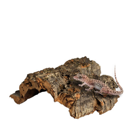 Reptil Terrarium Landschaftsbau Dekoration Ornamente Mini Pet Schlange Krabbeln Pet Simulation Vermeidung Cave Eidechsen
