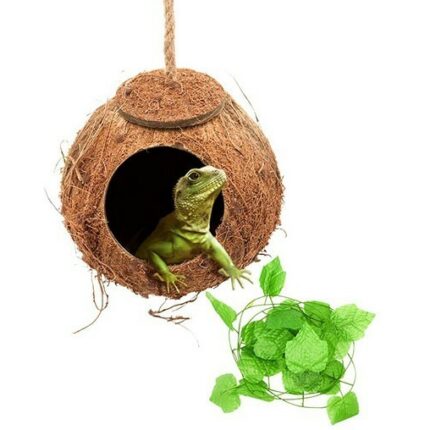 Reptil schaukel