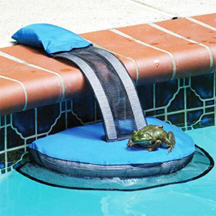 Schwimmen Pool Kleine Tier Rettungs Schwimmen Pool Tier Flucht Weg Frosch Net