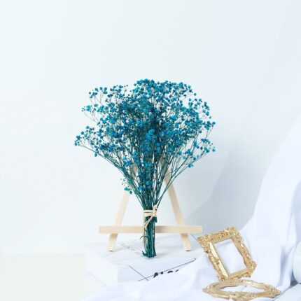 Gypsophila Getrocknete Blume Bouquet Air-getrocknete Echte Blume Wohnzimmer Dekoration