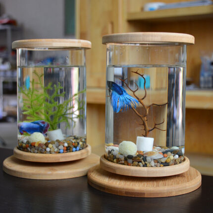 Kleine Büro Glas Aquarium Bambus Basis Mini Aquarium Dekoration Fisch Schüssel