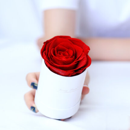 Thanksgiving Day Geschenk für Mutter Blumentopf 1 A- A Rose Produktion Upgrade Kleine Größe Geschenk box