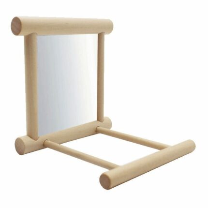 Vogel stand mit spiegel