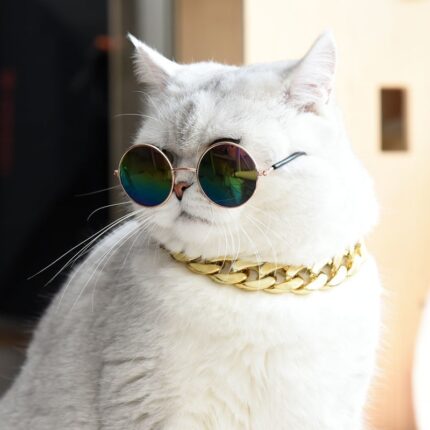 Kragen Katze Goldene Kette Ornament