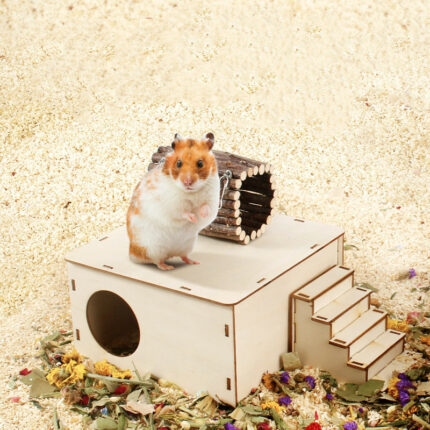 Hamster Natürliche Holz Zaun Landschaftsbau Plattform Schaukel Spielzeug