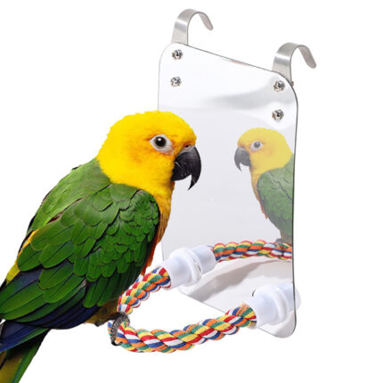Papagei Spielzeug Acryl Vogel Mit Spiegel