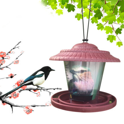 Kunststoff transparent vogel feeder