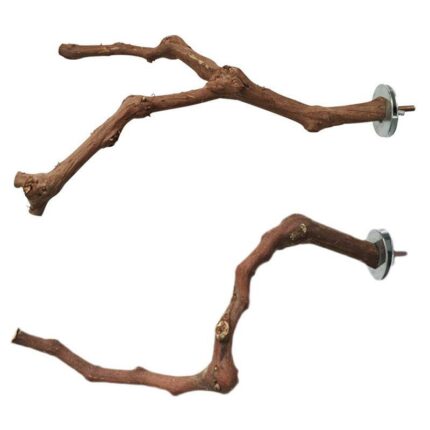 Vogel Standing Stick Wilden Trauben Holz Schleifen Klaue Stick Hocken Stick