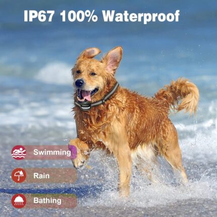 Hunde training Elektro-Stoßkragen GPS Drahtloses Haustier Wiederauf ladbare Wasserdicht
