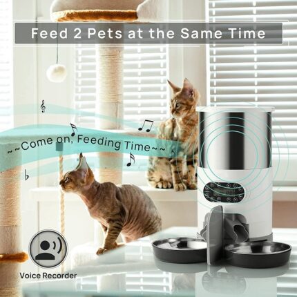 Automatische chqiue pet feeder