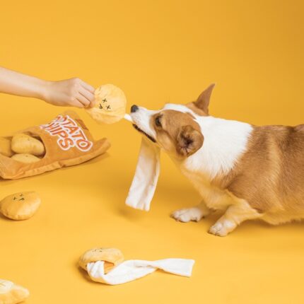 Ohr Planeten Pet Hund Kreative Sounding Plüsch Pädagogisches Spielzeug