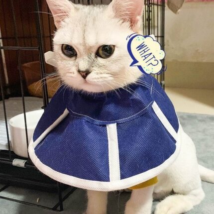 Anti-Lecken Kopf bedeckungen Turban Katzen zubehör