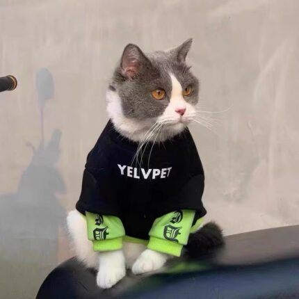 Herbst und Winter Kleidung Haustier Katze Kleine Hunde kleidung