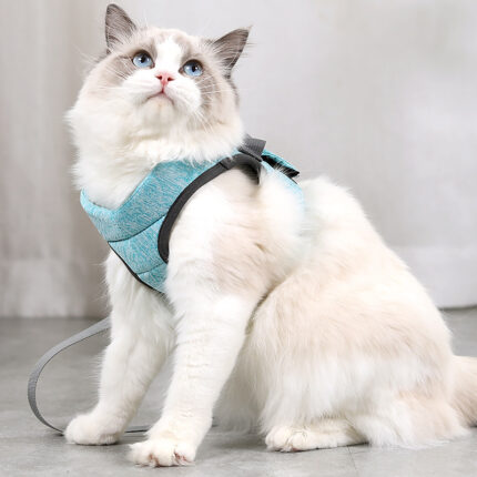 Anti-Off-Weste Schwamm Katze Traktion Seil