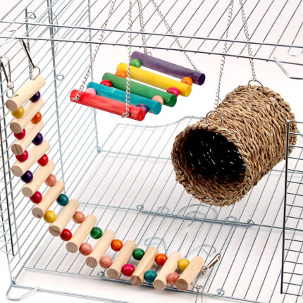 Ratte papagei spielzeug schaukel klettern leiter