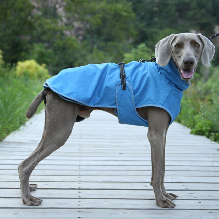 Pet Shell Jacke Hund Winter Outdoor Ski Anzug