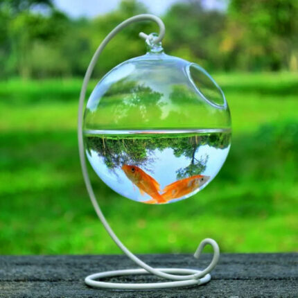Hängen Glas Vase Aquarium