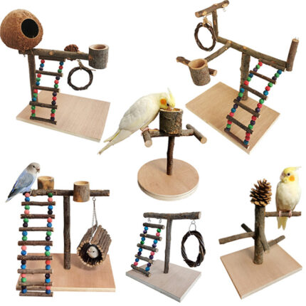 Massivholz Papagei Station Rahmen Ausbildung Vogel Regal Papagei Spielzeug