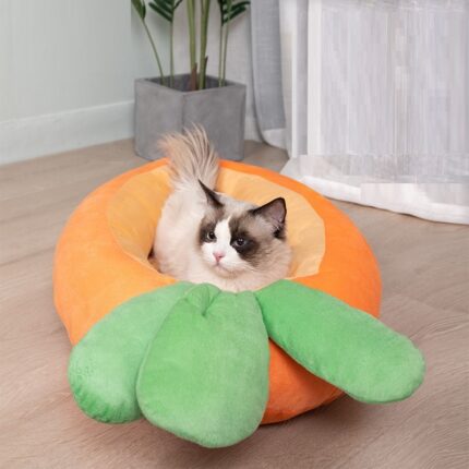 Karotte Katzenstreu Pet Wurf Ist Weich Und Bequem