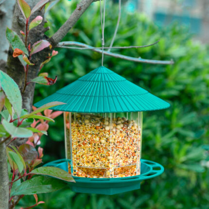 Outdoor Garten Hängen Transparent Vogel Feeder