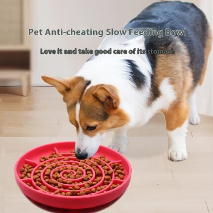 Hund Slow Food Bowl Anti-Tumble Runde