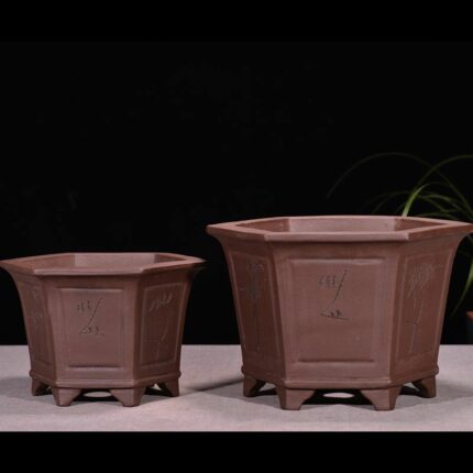 Lila Sand Blumentopf Atmungsaisch Bonsai Topf Orchidee Töpfe Banyan Topf grüner Rettich