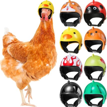 Hens Helmet Chicken Pet Safety Funny Parrot Bird Hat Headwear Small Hard Costumes Accessories For Parakeet