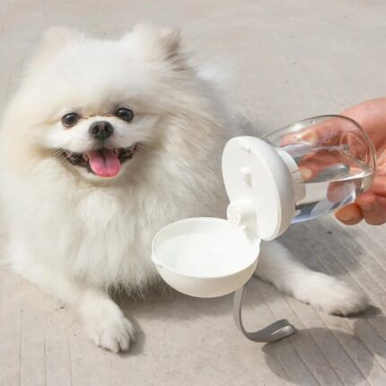Tragbare Haustier-Wasser flasche für Outdoor-Reisen Trinkbecher-Fütterung schale mit Lanyard für kleine mittelgroße Katzen Hunde Haustier zubehör Hoch temperatur beständigkeit