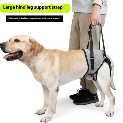 Cross-border Hot Selling Pet Supplies Injured Dog Rear Leg Auxiliary Back