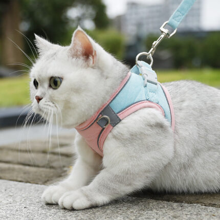 Fashion Small Dog Vest Hand Holding Rope