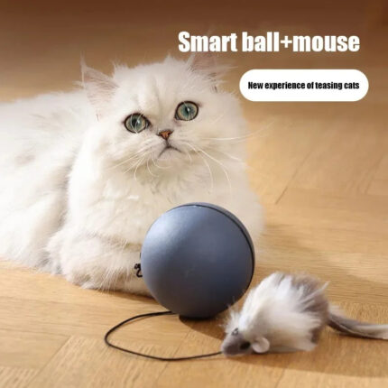 Katze Spielzeug Ball Elektrische Katze necken Ball