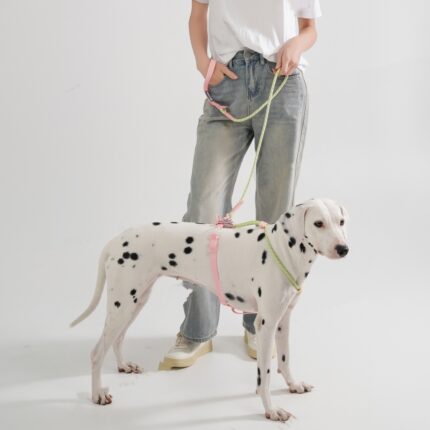Einfarbige Mode Hund Hand Halten Seil Outdoor Hunde leine PVC Haustier Hand Halten Seil