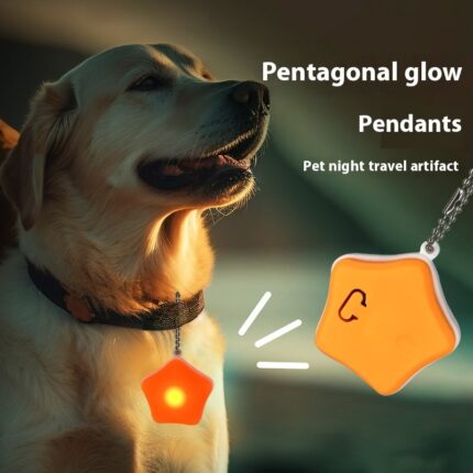 Haustier wiederauf ladbare Anhänger Hund Katze Nacht Anti-verlorenes Hund Walking Light