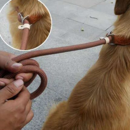 Nylon P Kette Hand Halten Seil Aus Hunde leine Hand Halten Seil