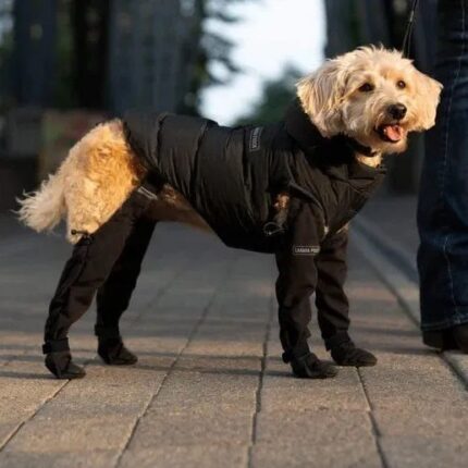 DOGGIE STRAP PAW PROTECTORS Out Hundes chuhe Haustier Schuhe Wasserdicht Anti-Rutsch