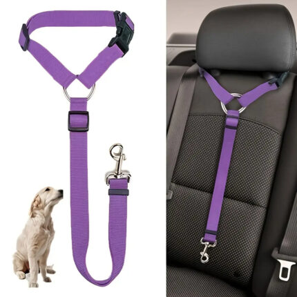 Solider Zwei-in-Eins-Haustier-Sicherheits gurt für Auto-Sicherheits gurt für Kätzchen-Hunde-Halsband-Haustier zubehör