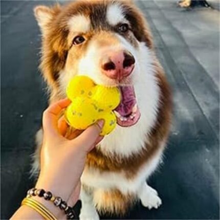 Der milde Hund beruhigende Ball milder Hund Tennisball, milder Hund emotionaler Unterstützung Ball