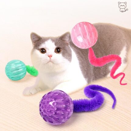 Interaktives Katzen-Ball-Spielzeug Interaktive Wurm-Hüpfball-Bälle Katzen-Spielzeug-Bälle für Indoor-Katzen-Kätzchen
