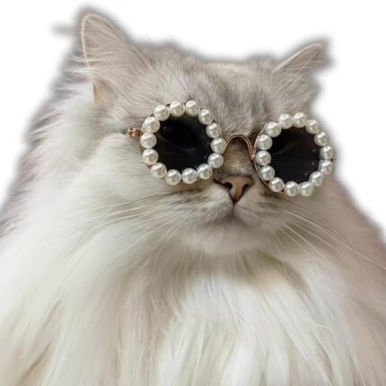Katze und Hund Perle Sonnenbrille-Haustier extravagante lustige niedliche Anzieh kostüm Zubehör für Party