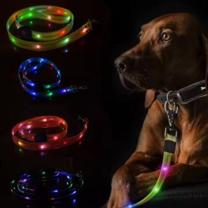 Luminous Dog Collar Colorful Pet Rope Highlight Anti-lost Hand Holding
