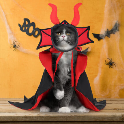 Halloween Haustier Vampir Umhang Hut Weihnachts anzug